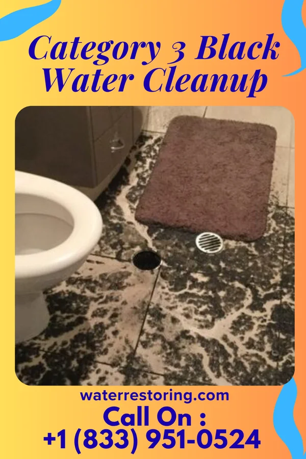 Category 3 Black Water Cleanup in Sumas, WA