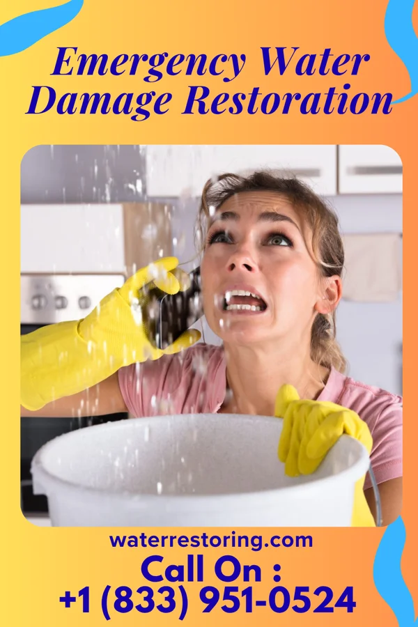 Emergency Water Damage Restoration in Sumas, WA