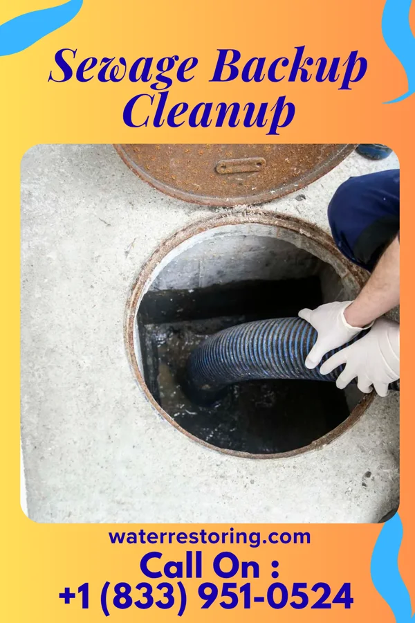 Sewage Backup Cleanup in Sumas, WA