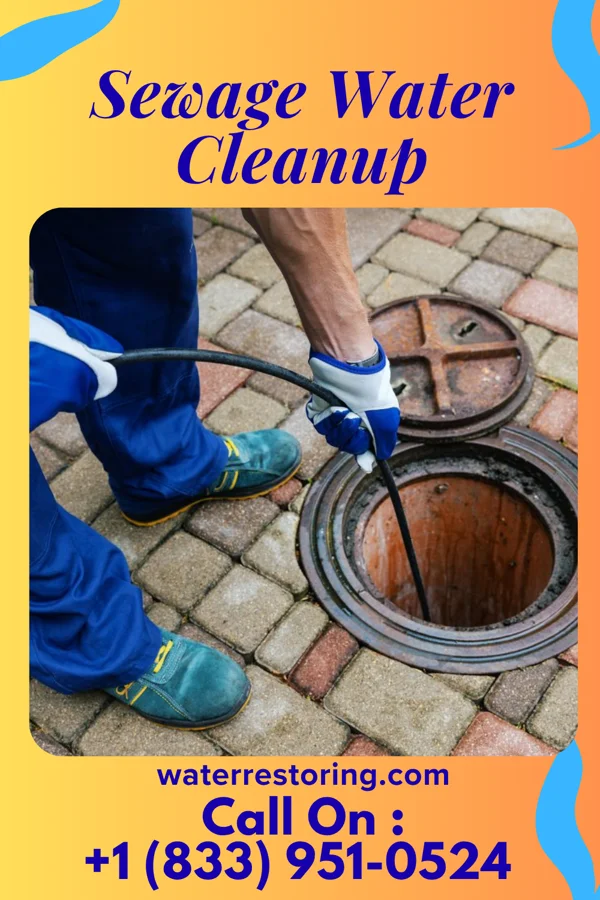 Sewage Water Cleanup in Sumas, WA